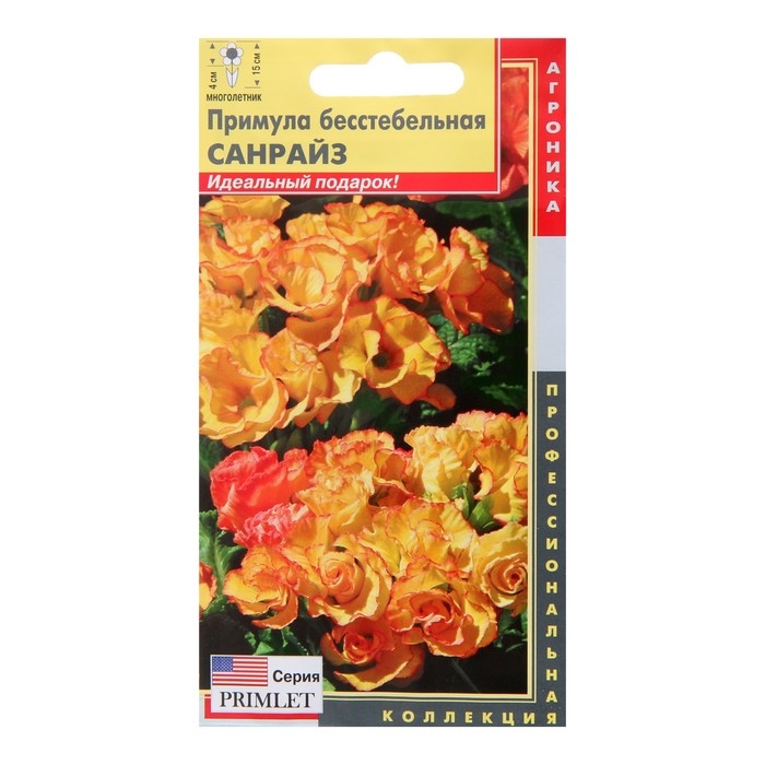 Семена Примула бесстебельная  Семена Примула бесстебельная "Санрайз", 5 шт