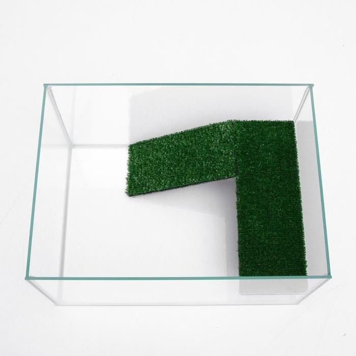 Террариум для черепах 25 литров, без крышки с полкой и лесенкой, 40 х 29 х 22 см Террариум для черепах 25 литров, без крышки с полкой и лесенкой, 40 х 29 х 22 см