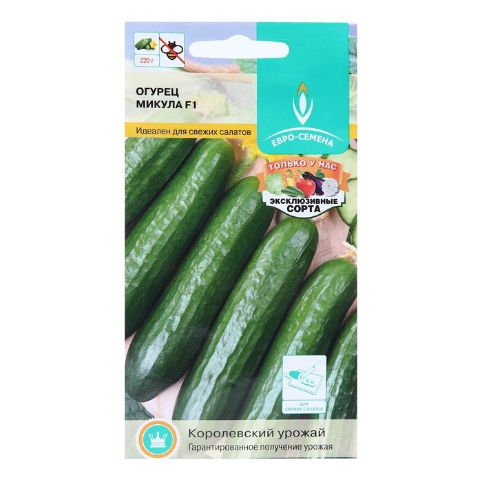 Семена Огурец Микула F1 раннеспелый, партенокарпический, гладкий, салатный 0,25 г. Семена Огурец Микула F1 раннеспелый, партенокарпический, гладкий, салатный 0,25 г.