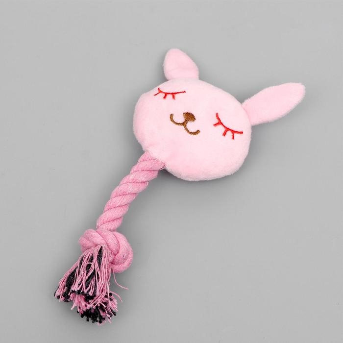 Игрушка мягкая для собак  Игрушка мягкая для собак "Зайка с канатом", с пищалкой, 18 см, розовая