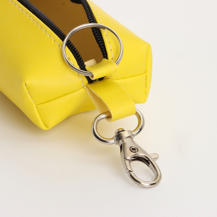 Ключница на молнии, длина 16 см, кольцо, карабин, цвет жёлтый Ключница на молнии, длина 16 см, кольцо, карабин, цвет жёлтый