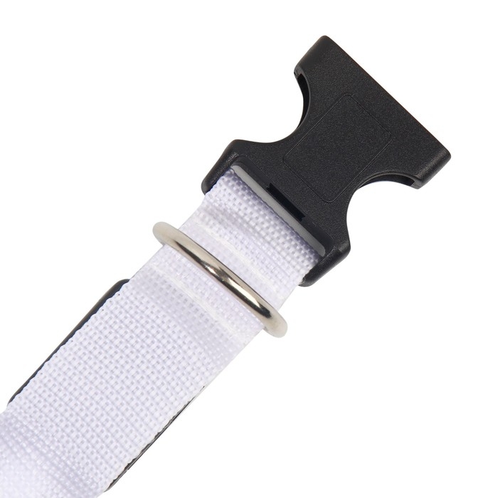 Ошейник с подсветкой Двойная полоса размер XL, ОШ 52-60 х 2,5 см, 3 режима свечения белый Ошейник с подсветкой Двойная полоса размер XL, ОШ 52-60 х 2,5 см, 3 режима свечения белый