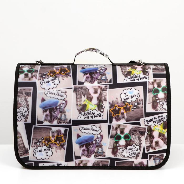 Сумка - переноска для животных с принтом, 46 х 28,5 х 30 см микс Сумка - переноска для животных с принтом, 46 х 28,5 х 30 см микс