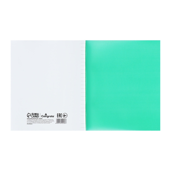 Тетрадь 48 листов в линию Calligrata "Зелёная", пластиковая обложка, с алфавитом, блок офсет