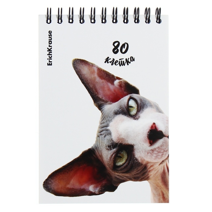 Блокнот на спирали А6, 80 листов, клетка, ErichKruase Блокнот на спирали А6, 80 листов, клетка, ErichKruase "Котики", картонная обложка, блок офсет, белизна 100%, МИКС