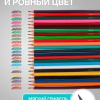 Карандаши Calligrata, цветные, акварельные, 24 цвета