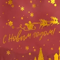 Пакет бумажный подарочный новогодний с тиснением, «На встречу Новому Году» 16×12×6 см