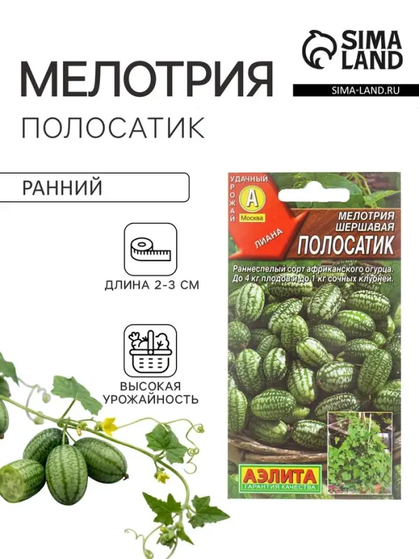 Семена Мелотрия шершавая &laquo;Полосатик&raquo;