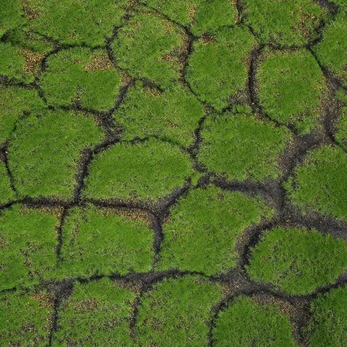 Мох искусственный, декоративный, полотно 1&times;1 м, рельефный, камни, зелёный с щепой, Greengo