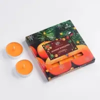 Свечи ароматические чайные &laquo;Зимний мандарин&raquo;, 10 г, 9 шт.