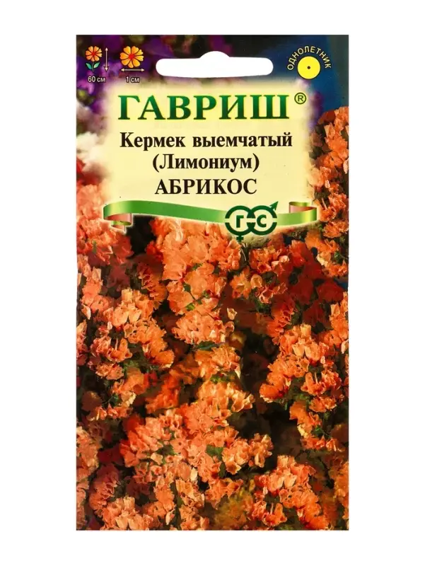 Семена цветов Кермек (Лимониум) выемчатый Абрикос* 0,05 г