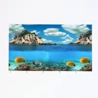 Фон для аквариума двухсторонний, 30&times;50 см