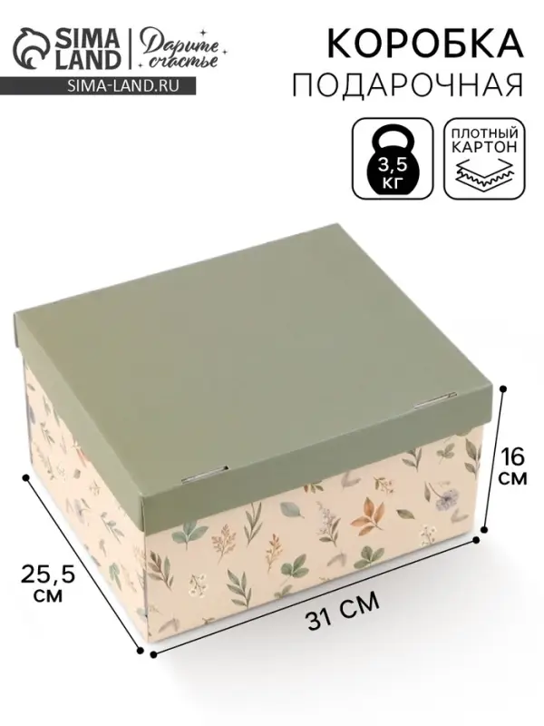 Коробка складная &laquo;Зелёная&raquo;, 31 х 25,5 х 16 см