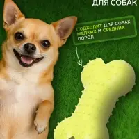Жевательная игрушка для собак &laquo;Кость малая&raquo;, 8.5 см, TPR, салатовая