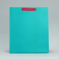 Пакет подарочный двухцветный, упаковка, &laquo;Розовый-голубой&raquo;, ML 23&times;27&times;11.5 см