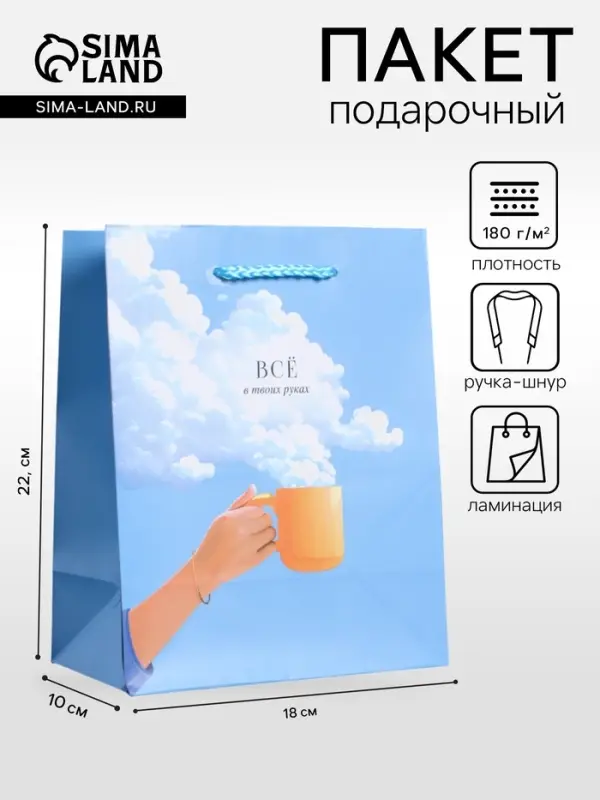 Пакет подарочный ламинированный &laquo;Всё в твоих руках&raquo;, голубой, 18&times;22.3&times;10 см