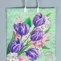 Пакет &laquo;Беатрис&raquo;, полиэтиленовый с пластиковой ручкой, 100 мкм 40&times;44 см