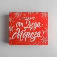 Упаковка для кондитерских изделий «Подарок от Деда Мороза», 20 х 17 х 6 см