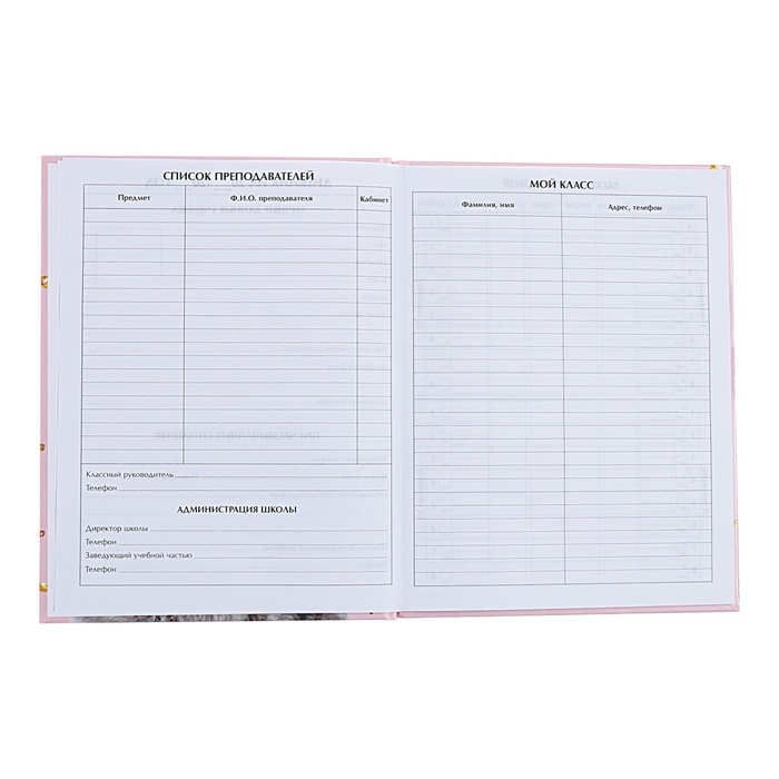 Дневник универсальный для 1-11 классов, Дневник универсальный для 1-11 классов, "Киса", твердая обложка 7БЦ, глянцевая ламинация, 40 листов