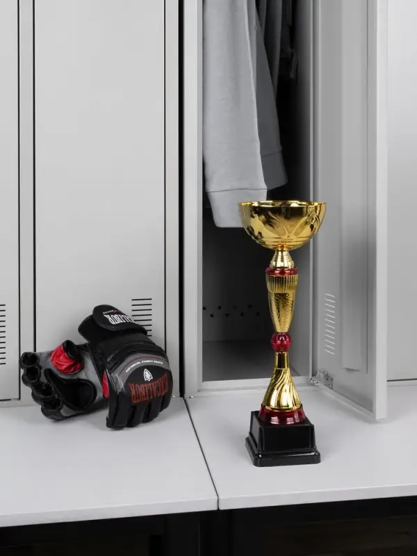 Кубок Awardee, средний, красный