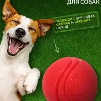 Игрушка для собак &laquo;Прыгучий мяч&raquo;, 5 см, цельнолитая, TPR, красная