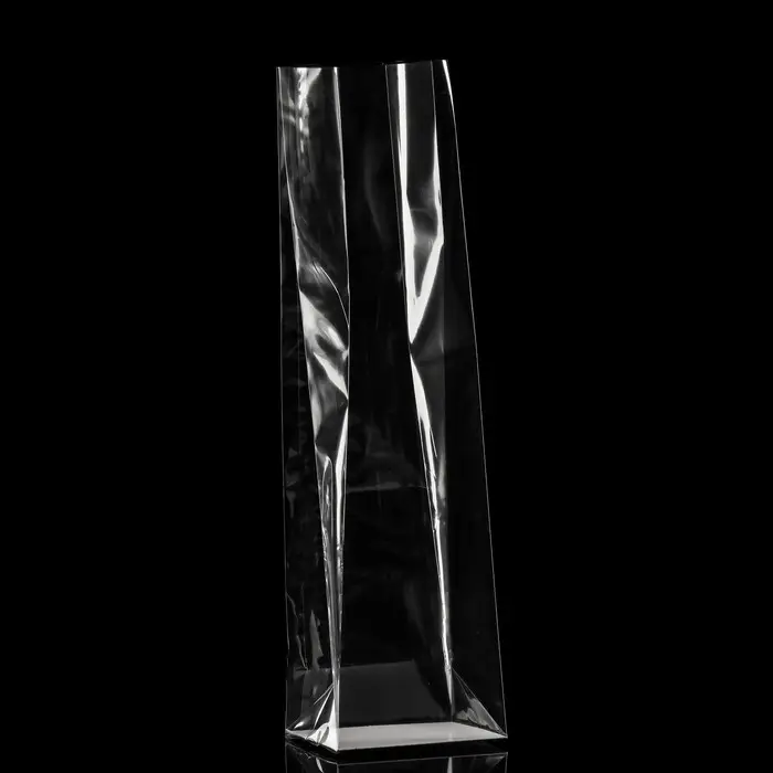 Пакет с жестким дном 6×8×30 см Пакет с жестким дном 6×8×30 см