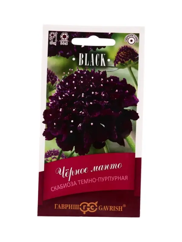 Семена цветов Скабиоза пурпурная Чёрное манто, махр. 0,2 г серия Блэк DH