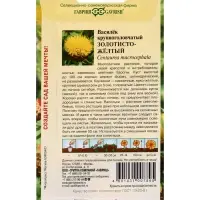 Семена цветов Василек Золотисто-желтый, крупноголовчатый, многолетний 0.2 г