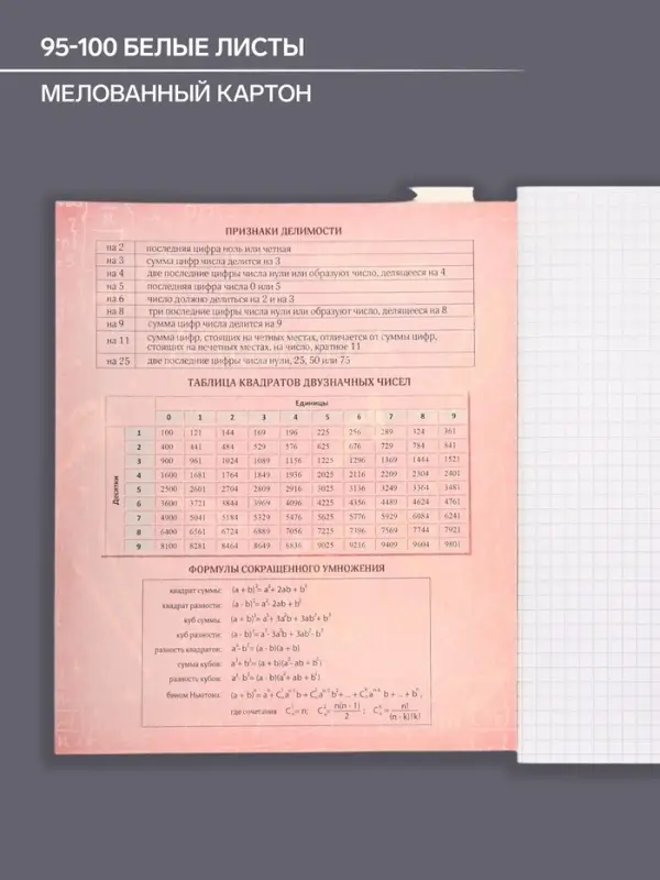 Тетрадь предметная 48 листов в клетку, Calligrata &laquo;Доска. Алгебра&raquo;, обложка мелованный картон