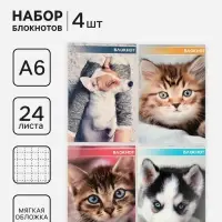 Блокноты 4 шт. А6 24 листов в клетку на скобе &laquo;Котята и щенята&raquo;, мел карт, бл офс, 4 В