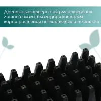 Кассета для рассады, 50 ячеек по 100 мл, пластик, чёрная, 54&times;27&times;8 см, Greengo