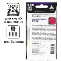 Семена цветов Катарантус Пацифика  "Бургунди" 10 шт Семена цветов Катарантус Пацифика  "Бургунди" 10 шт
