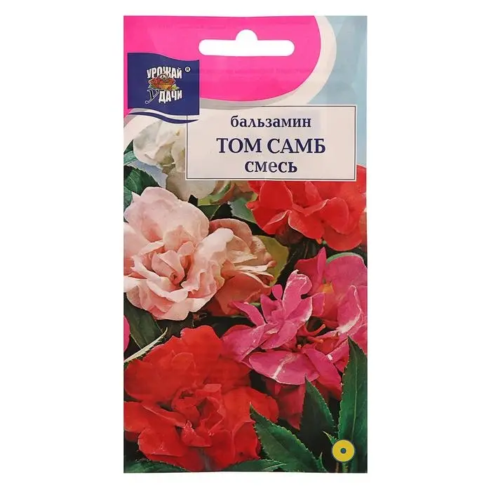 Семена цветов Цв Бальзамин  Семена цветов Цв Бальзамин "Том Самб", Смесь,0,2 гр