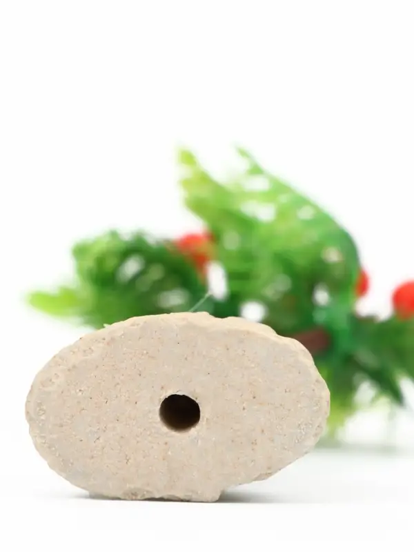 Растение для аквариума &laquo;Пальма&raquo;, 10&times;5 см