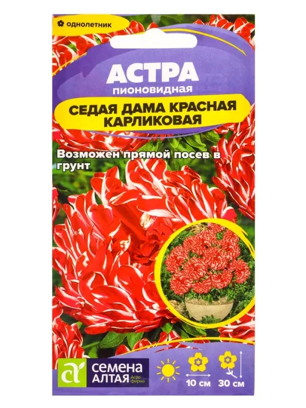 Семена цветов Астра &laquo;Седая Дама&raquo;, красная, карликовая, 0.05 г, &laquo;Семена Алтая&raquo;