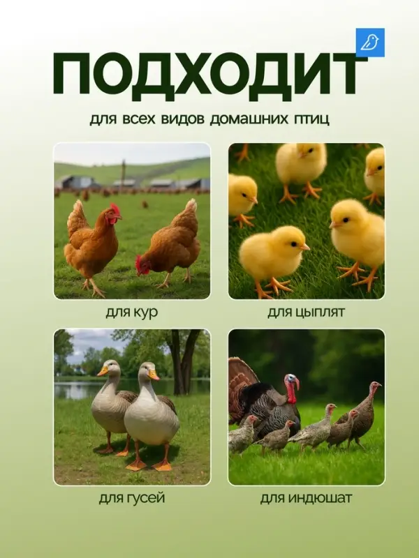 Кормушка для домашней птицы на 5 кг, МИКС