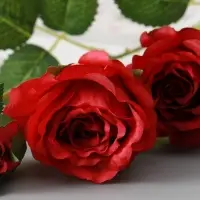 Цветы искусственные &laquo;Роза Августина галант&raquo;, d=6 см, h=55 см, красные