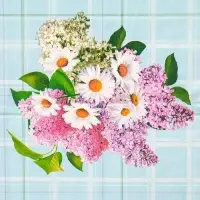 Скатерть на стол &laquo;Кружево&raquo;, нетканая основа, многоразовая, с кружевом, 130&times;140 (&plusmn;5 см), МИКС