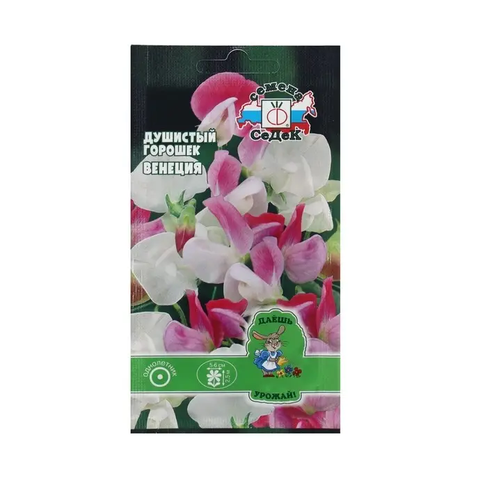 Семена Цветок Душистый  Семена Цветок Душистый "Венеция "0.5 г