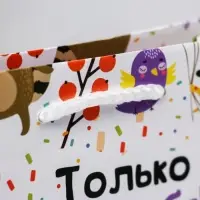 Пакет подарочный ламинированный, упаковка, «Только для тебя », MS 18 х 23 х 8 см