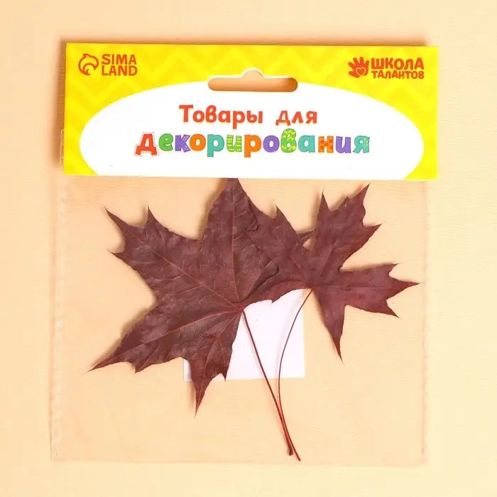 Сухие листья, набор 2 шт., размер 1 шт. — 5 × 7 см, клён Сухие листья, набор 2 шт., размер 1 шт. — 5 × 7 см, клён