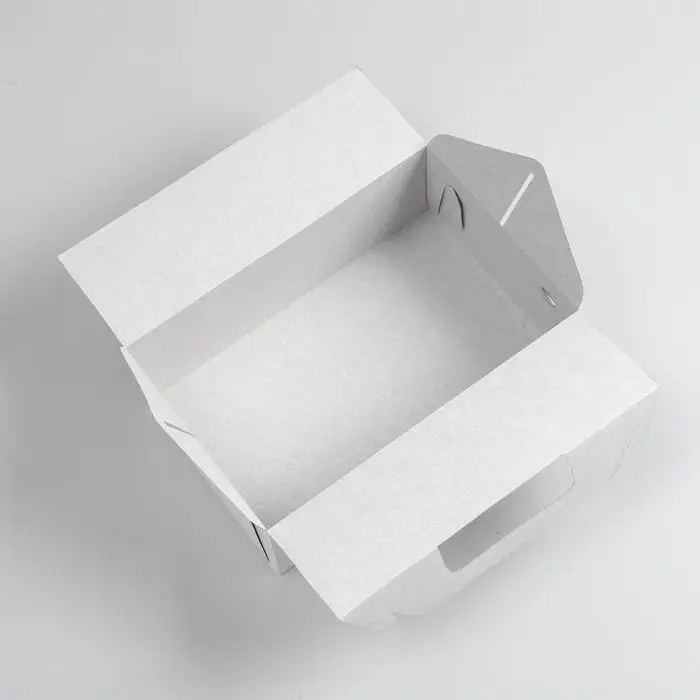 Коробка на вынос, белая, 25 х 16 х 9 см