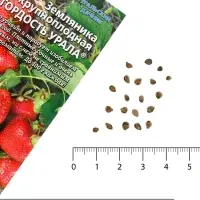 Семена Земляника &laquo;Гордость Урала&raquo;, крупноплодная, 10 шт., &laquo;Уральский дачник&raquo;