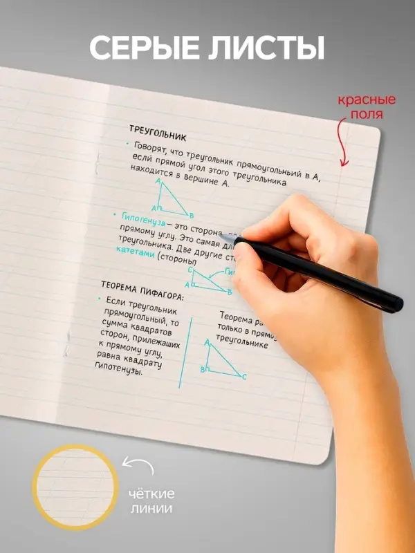 Комплект тетрадей из 10 штук, 12 листов в косую линию Calligrata "СелфиDOG", обложка мелованная бумага, ВД-лак, блок №2, белизна 75% (серые листы), 5 видов по 2 штуки