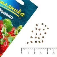 Семена Земляника &laquo;Монако&raquo;, ремонтантная, крупноплодная, &laquo;Семена Алтая&raquo;, 0.01 г