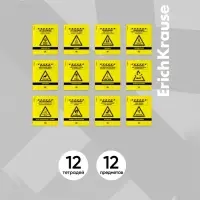Комплект предметных тетрадей ErichKrause. Be Informed, 12 предметов, 48 листов, со справочным материалом, пластиковая обложка