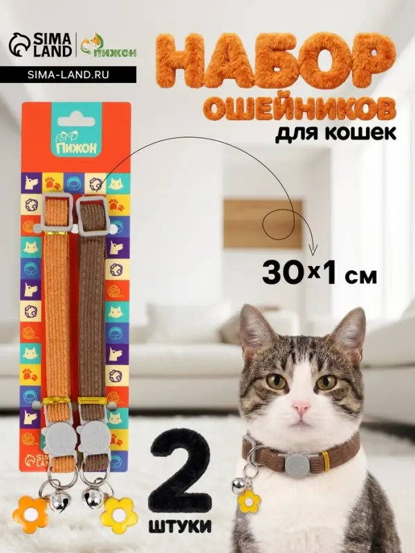Набор ошейников для кошек, оранжевый, коричневый