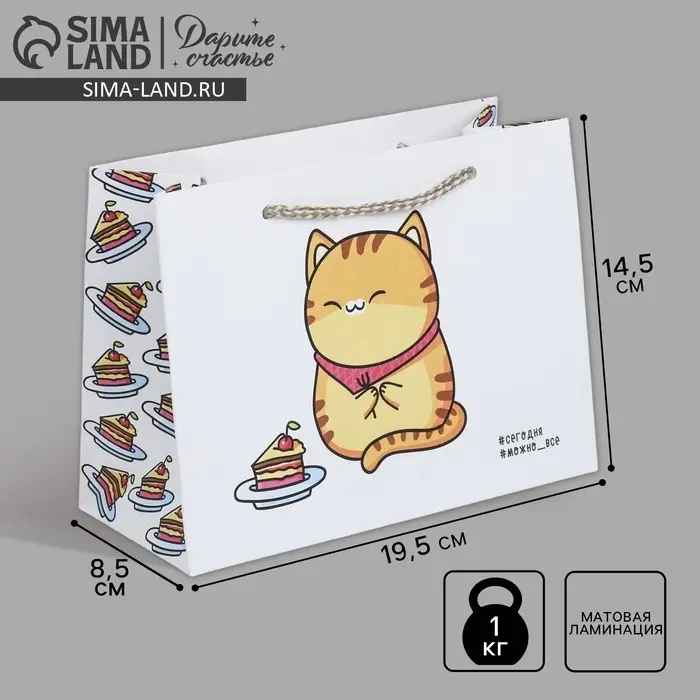 Пакет подарочный, упаковка, «Сладость», 19.5 х 14.5 х 8.5 см