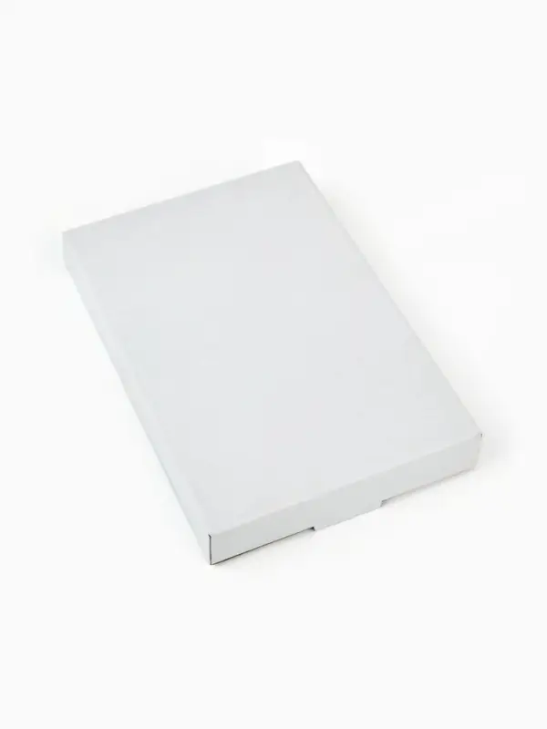 Тарелка новогодняя плоская &laquo;Зима&raquo;, 13.4&times;20.5 см