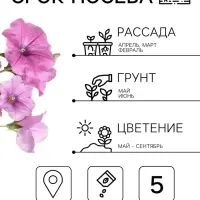 Семена цветов Петуния &laquo;мини Пикколино&raquo;, сиреневая, F1, 5 шт., Farao, &laquo;АЭЛИТА&raquo;